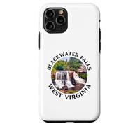 Blackwater Falls State Park Case for iPhone 11 Pro