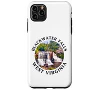 Blackwater Falls State Park Case for iPhone 11 Pro Max
