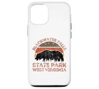 Blackwater Falls State Park Case for iPhone 12/12 Pro