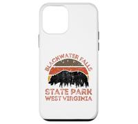 Blackwater Falls State Park Case for iPhone 12 mini