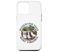 Blackwater Falls State Park Case for iPhone 12 Pro Max