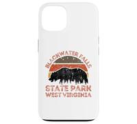 Blackwater Falls State Park Case for iPhone 13