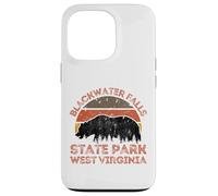 Blackwater Falls State Park Case for iPhone 13 Pro