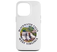 Blackwater Falls State Park Case for iPhone 13 Pro