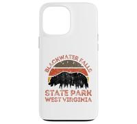 Blackwater Falls State Park Case for iPhone 13 Pro Max