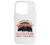 Blackwater Falls State Park Case for iPhone 14 Pro