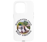 Blackwater Falls State Park Case for iPhone 15 Pro