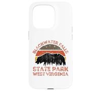Blackwater Falls State Park Case for iPhone 15 Pro