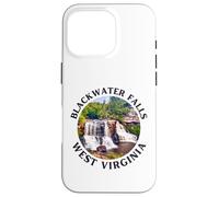 Blackwater Falls State Park Case for iPhone 16 Pro