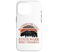 Blackwater Falls State Park Case for iPhone 16 Pro