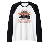 Blackwater Falls State Park Raglan Baseball Tee