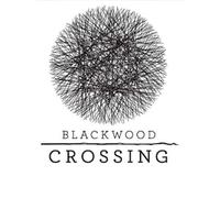 Blackwood Crossing (PC) - Steam Gift - GLOBAL