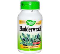 Bladderwrack - 100 - 580mg Vcaps by Nature's Way - Natural Iron & Iodine Source