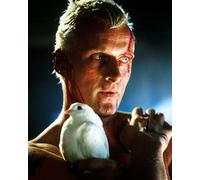Blade Runner (1982) Rutger Hauer 10x8 Photo