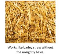 Blagdon Natural Barley Straw Bugs, 250 ml, Pond Water Treatment, Clears Green Wa