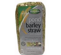 Blagdon Pond Barley Straw Bale, Medium, Clears Algae, Green Water and Blanketweed, Natural, for Ponds up to 9, 000 Litres