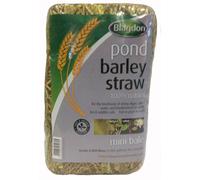 Blagdon Pond Barley Straw Bale, Small, Clears Algae, Green Water and