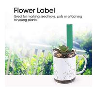 Blaihild 100 PCS Plastic Plant Seed Labels, Durable PVC Garden Stake Tags with Common Pen Marking, for Seed Trays Pots Plant Identification (Green)