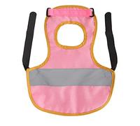 Blaihild Chicken Vest, Adjustable Chicken Harness Leash Pet Holder for Ducks and Hens, Comfortable Polyester Material with Reflective Stripe, Ideal for Outdoor Activities (Pink)
