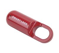 Blaihild Fingerprint Lock, 10 Sets Fingerprint Capacity USB Rechargeable Smart Padlock with Keyless Biometric Security, LED Indicator, for Gym Locker, School Locker, Suitcase, Backpack, (Red)