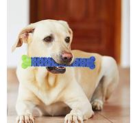 Blaihild Silicone Dog Toothbrush Chew Toy 25cm Length for Small Medium Large Dogs, Multi Directional Brush Core Clean Teeth Massage Gums with Treat Dispensing Crevices for Oral Health