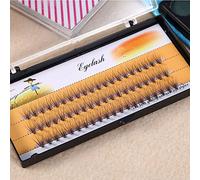 Blaihild Soft False Eyelash Extension 3D Lashes Volume Fans 60pcs Knot Free Base for Eyelash Extensions with 7 Sizes 6mm-14mm (10mm)