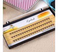Blaihild Soft False Eyelash Extension 3D Lashes Volume Fans 60pcs Knot Free Base for Eyelash Extensions with 7 Sizes 6mm-14mm (8mm)