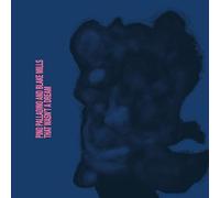 Blake Mills;Pino Palladino - That Wasn't A Dream