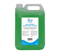 Blake & White Antibacterial Multi Surface Cleaner 5L - Purely Smile Powerful Green Floor Cleaner Liquid for Walls and Unpolished Floors - Unscented Floor Cleaners - PS2105