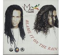 Blame It On The Rain - poster sleeve