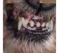Blanck Mass - World Eater (Ltd.Clear With Red Splatter Vinyl) [VINYL]