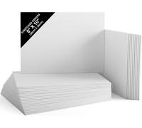 Belle Vous Blank Canvas (30 Pack) - 20 x 25cm (8 x 10 inches) - Pre Stretched Canvas Panel Boards - Suitable for Acrylic and Oil Painting Also for Sketching and Drawing