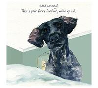 Blank Card by Little Dog Laughed - Dotty Te German Pointer