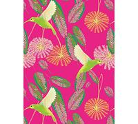 Blank Card, Matthew Williamson Greeting Card, Hummingbirds #MWB017