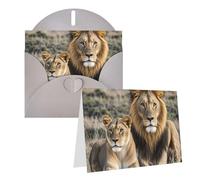 Blank Greetings Card 4'' X 6'' With Envelopes, African Lion And Lioness Thank You Cards Note Cards Gray All Occasion Cards For Christmas Holidays Birthday Graduation Anniversaries