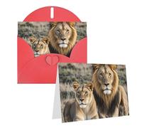 Blank Greetings Card 4'' X 6'' With Envelopes, African Lion And Lioness Thank You Cards Note Cards Red All Occasion Cards For Christmas Holidays Birthday Graduation Anniversaries