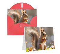 Blank Greetings Card 4'' X 6'' With Envelopes, Autumn Squirrel Thank You Cards Note Cards Red All Occasion Cards For Christmas Holidays Birthday Graduation Anniversaries