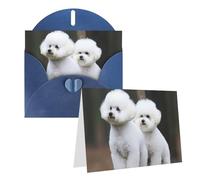 Blank Greetings Card 4'' X 6'' With Envelopes, Bichon Frise Thank You Cards Note Cards Blue All Occasion Cards For Christmas Holidays Birthday Graduation Anniversaries