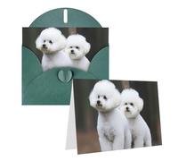 Blank Greetings Card 4'' X 6'' With Envelopes, Bichon Frise Thank You Cards Note Cards Dark Green All Occasion Cards For Christmas Holidays Birthday Graduation Anniversaries