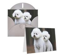 Blank Greetings Card 4'' X 6'' With Envelopes, Bichon Frise Thank You Cards Note Cards Gray All Occasion Cards For Christmas Holidays Birthday Graduation Anniversaries