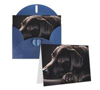 Blank Greetings Card 4'' X 6'' With Envelopes, Black Labrador Puppy Thank You Cards Note Cards Blue All Occasion Cards For Christmas Holidays Birthday Graduation Anniversaries