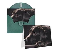 Blank Greetings Card 4'' X 6'' With Envelopes, Black Labrador Puppy Thank You Cards Note Cards Dark Green All Occasion Cards For Christmas Holidays Birthday Graduation Anniversaries