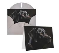 Blank Greetings Card 4'' X 6'' With Envelopes, Black Labrador Thank You Cards Note Cards Gray All Occasion Cards For Christmas Holidays Birthday Graduation Anniversaries