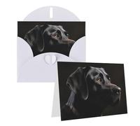 Blank Greetings Card 4'' X 6'' With Envelopes, Black Labrador Thank You Cards Note Cards White All Occasion Cards For Christmas Holidays Birthday Graduation Anniversaries