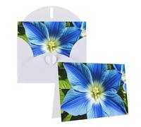Blank Greetings Card 4'' X 6'' With Envelopes, Blue Flowers Thank You Cards Note Cards White All Occasion Cards For Christmas Holidays Birthday Graduation Anniversaries