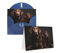 Blank Greetings Card 4'' X 6'' With Envelopes, Brown Labrador Retriever Thank You Cards Note Cards Blue All Occasion Cards For Christmas Holidays Birthday Graduation Anniversaries