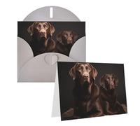 Blank Greetings Card 4'' X 6'' With Envelopes, Brown Labrador Retriever Thank You Cards Note Cards Gray All Occasion Cards For Christmas Holidays Birthday Graduation Anniversaries