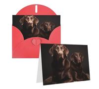 Blank Greetings Card 4'' X 6'' With Envelopes, Brown Labrador Retriever Thank You Cards Note Cards Red All Occasion Cards For Christmas Holidays Birthday Graduation Anniversaries