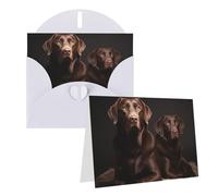 Blank Greetings Card 4'' X 6'' With Envelopes, Brown Labrador Retriever Thank You Cards Note Cards White All Occasion Cards For Christmas Holidays Birthday Graduation Anniversaries
