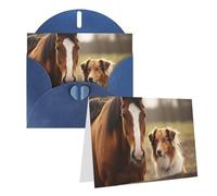 Blank Greetings Card 4'' X 6'' With Envelopes, Collie Dog And Horse Together Thank You Cards Note Cards Blue All Occasion Cards For Christmas Holidays Birthday Graduation Anniversaries